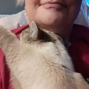 Meet your Posher, Dana